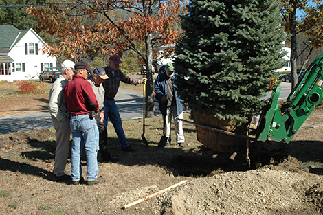 Andover Lions Club Plants New Town Christmas Tree