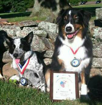 Andover Disc Dog Needs Help to Compete in Georgia