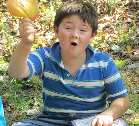 Second Grade Embarks on its Amazing Leaf Hunt
