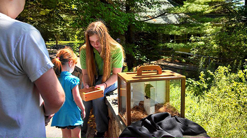 Mackenzie Donovan Helps at Natural Science Center