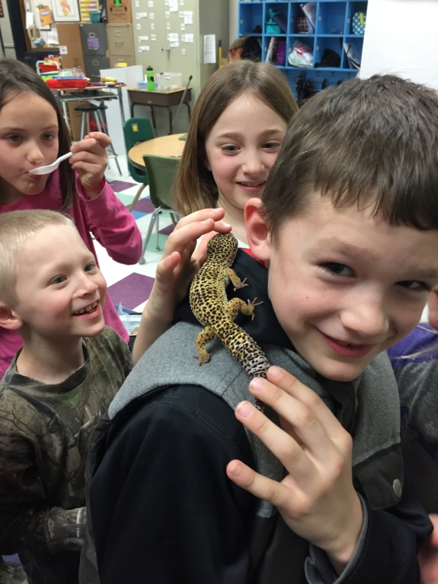 AE/MS Enjoys Time with a Gecko