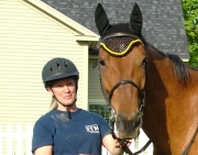 Andover Business Owner Helps Horses in Distress