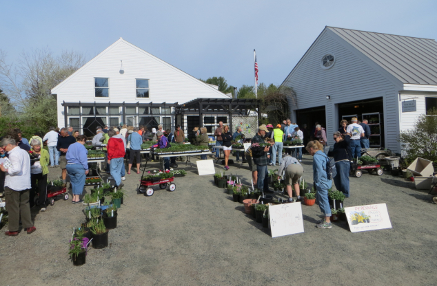 Annual Plant Sale Hosted by Wilmot Garden Club
