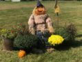 Scarecrow Pumpkinhead Greets Passersby on Maple Street/Thompson Point Lane
