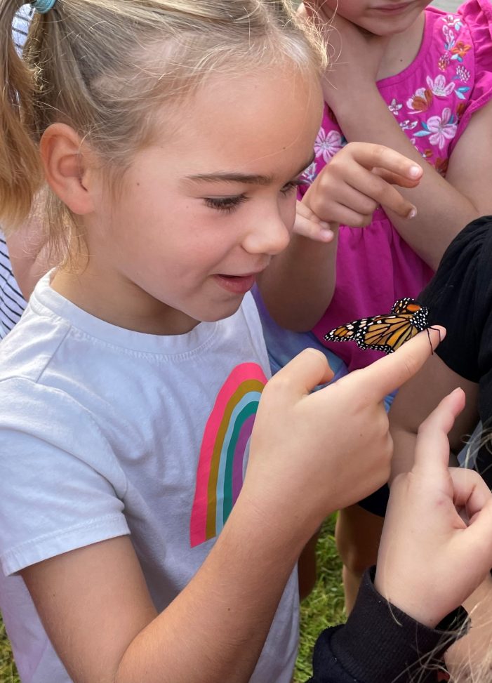 Second Graders Release Monarch Butterflies for Journey to Mexico
