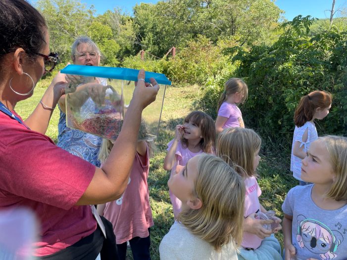 Second Grade Goes on Insect Hunt, Finds Lots of Wildlife
