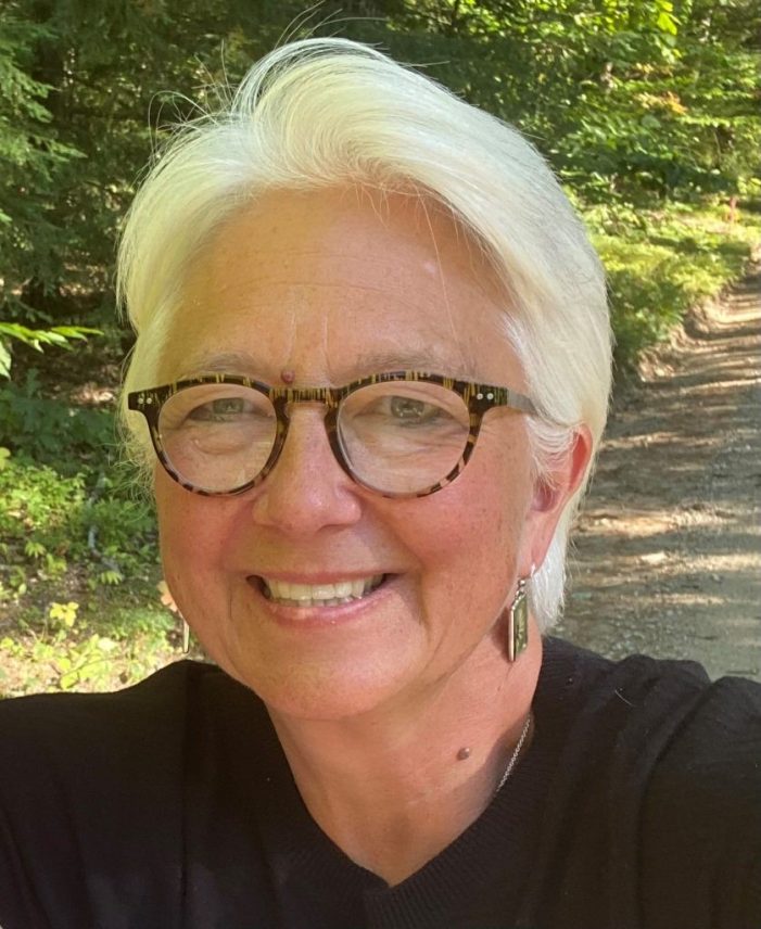 Julie Matz – Candidate for Library Trustee