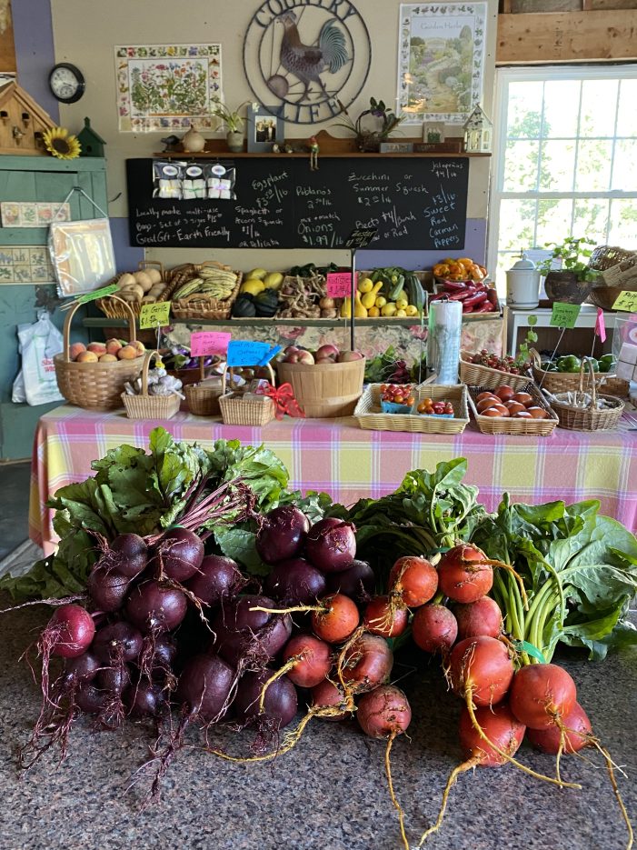 Farm Stand Owner Believes in Growing in the Soil