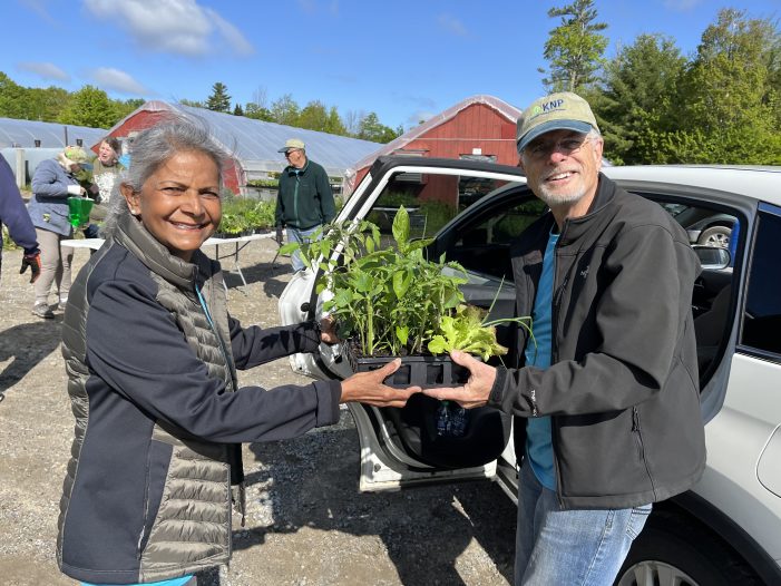 “Tray It Forward” Grows Gardeners in the Kearsarge Region