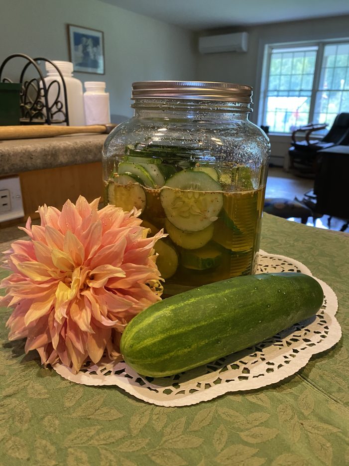 Neighbors Share Recipes: Shaker Pickles
