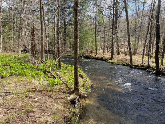 Ausbon Sargent Protects 5.12 Acres in Andover, NH