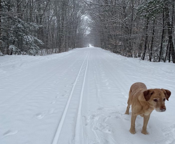 The Northern Rail Trail in Winter
