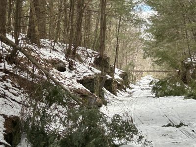 FNRT Volunteers Open Trails after Downed Trees 