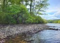 The Highland Lake Loons Have Returned