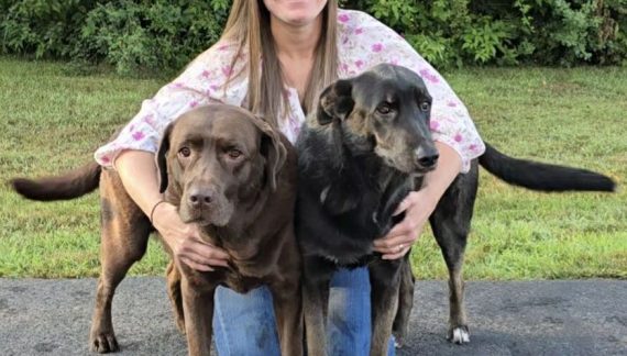 Franklin Animal Shelter Welcomes New Manager Tara Valliere