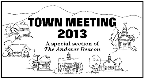 Town Meetings 2013