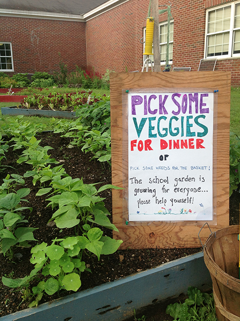 Enjoy the Bountiful Harvest at the School Garden