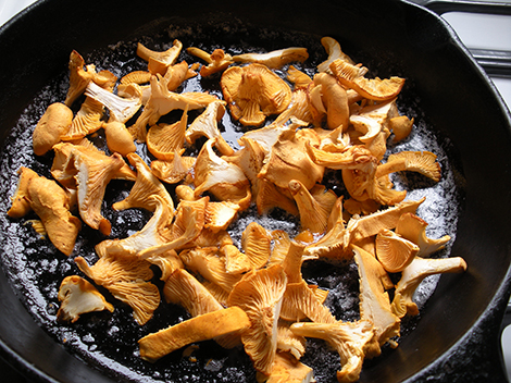 Andover Naturally: A Great Year for Mushrooms