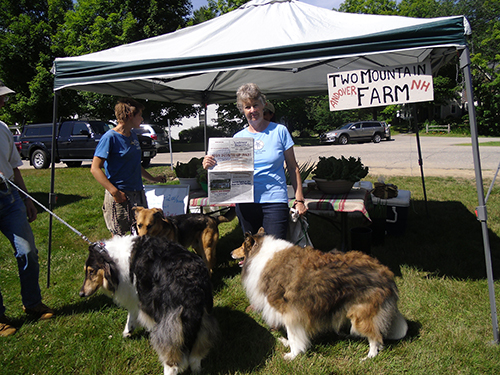 Bounty of Local Farms is at Wilmot Farmers Market