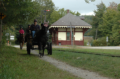 Horses, Carriages on the Rail Trail