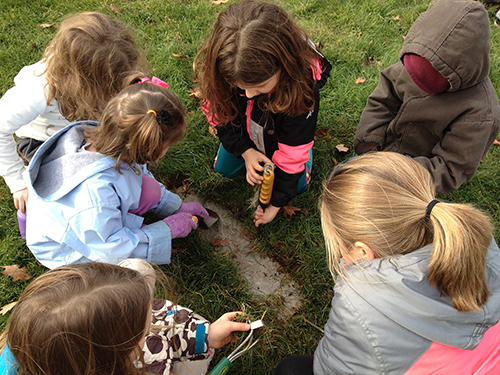 Digging for Dinosaurs at AE/MS