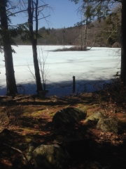 Andover Naturally: Adder (or Hopkins) Pond