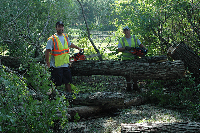 Violent Thunderstorms on July 19 Down Limbs, Trees