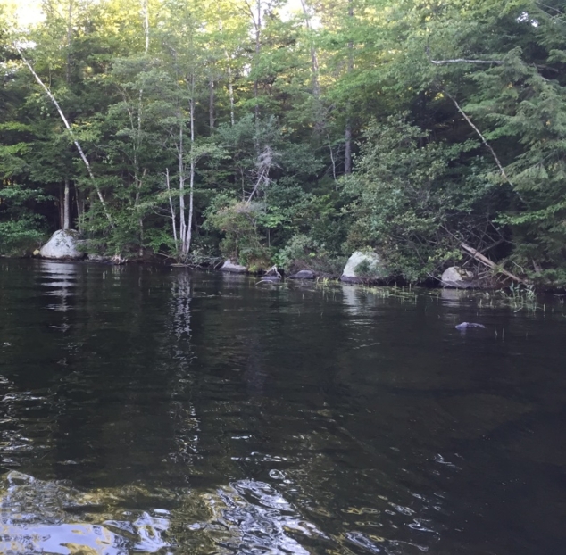 ASLPT Protects Evergreen Point on Little Lake Sunapee