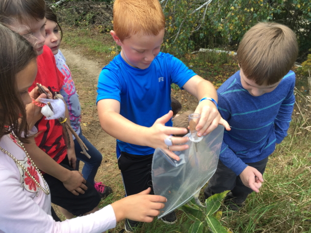 AE/MS Second Graders Study Metamorphosis