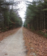 ASLPT Protects 25 Acres Along the Rail Trail