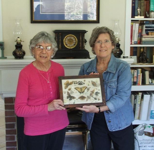 Helen LaPlant Duchesne donated to the Andover Historical Society her butterfly specimens, which she collected while attending school at the Dyers Crossing one-room schoolhouse. Both her butterflies and her wildflowers specimen project will be on display at the Tucker Mountain Schoolhouse's open house each month this summer. Photo: Bob Norander