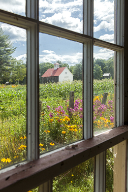 Free Photo Shoot to Focus on Historic Musterfield Farm