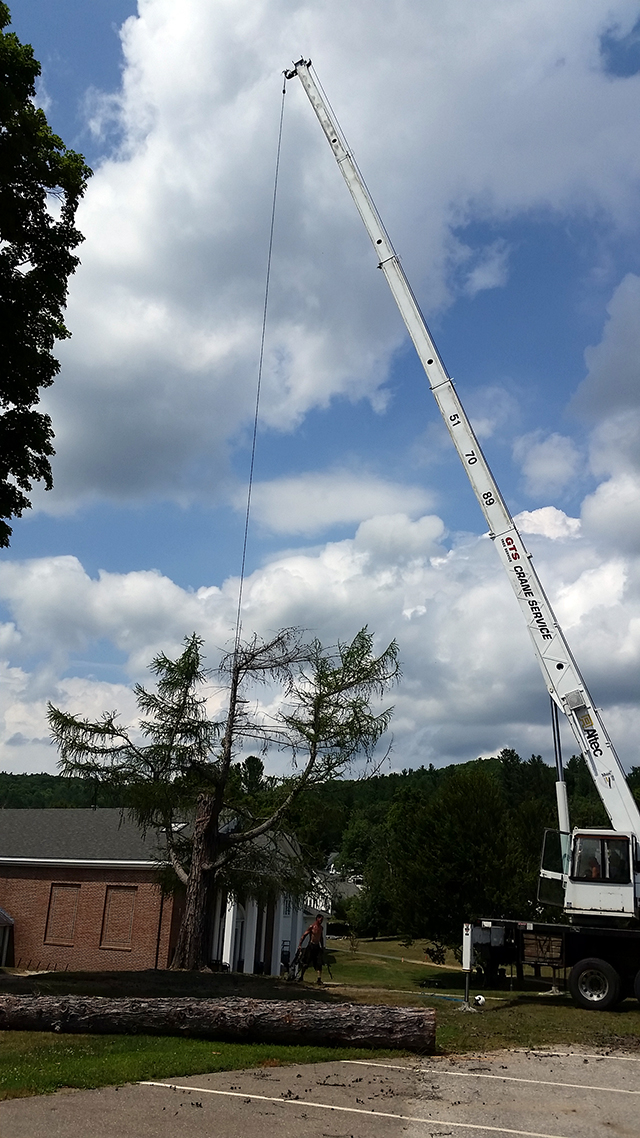 GTS Crane Service Dismantles a Tree for Proctor