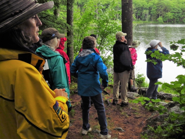 Andover Institute Offers Hike at Elbow Pond