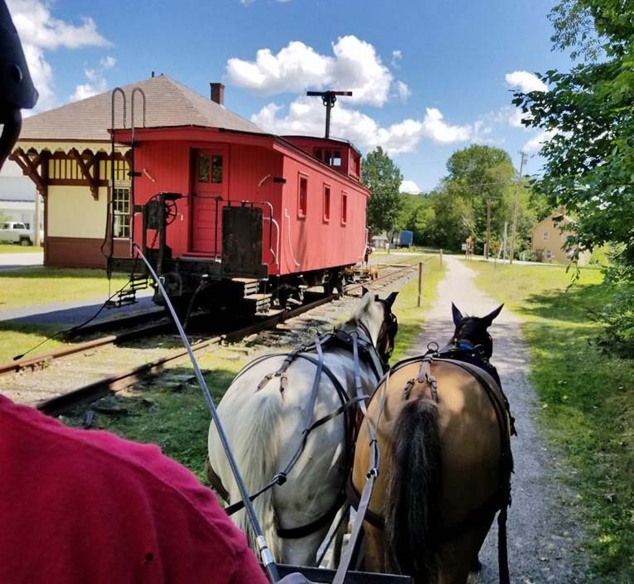 Granite State Carriage Association Held Annual Driving Event