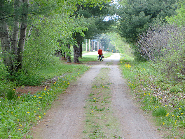 Celebrate National Trails Day on Saturday, June 2