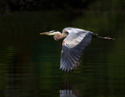 3rd Annual Photo Expo at the Andover Hub