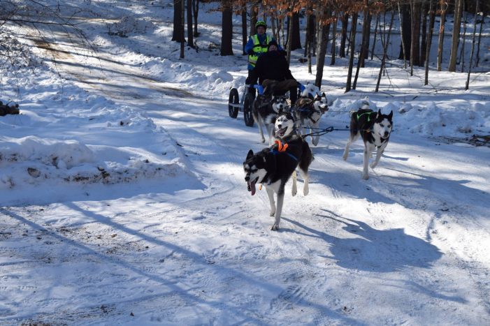 Ragged Mountain Mushing: It’s All About the Dogs