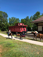 Carriage Driving on the Rail Trail