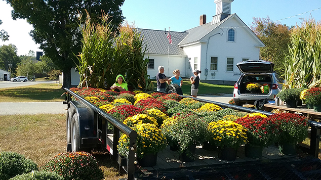 Mums Sold to Benefit 8th Grade Trip