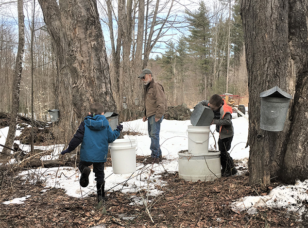 Mark Cowdrey, Owner of Ragged View Farm, Collects Sap