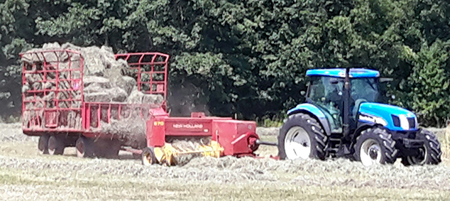 Mapleshade Farm Owner Bales Hay to Sell for Local Gardens 