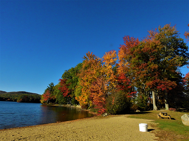 Brilliant Foliage at Chaffee Beach on Highland Lake Captured at Peak of Color