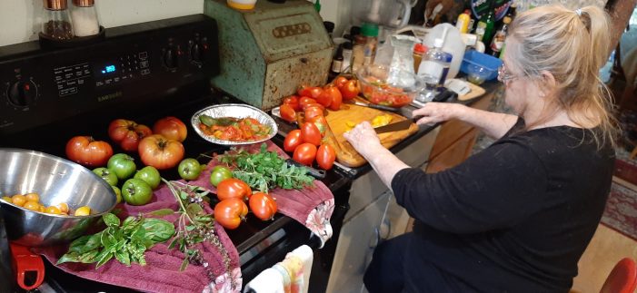 Bumper Tomato Crop is a Dream Come True