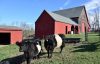 Barn Tax Incentive Program Invites Applications