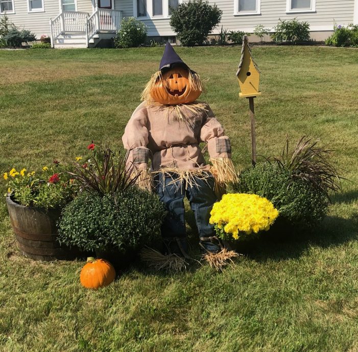 Scarecrow Pumpkinhead Greets Passersby on Maple Street/Thompson Point Lane