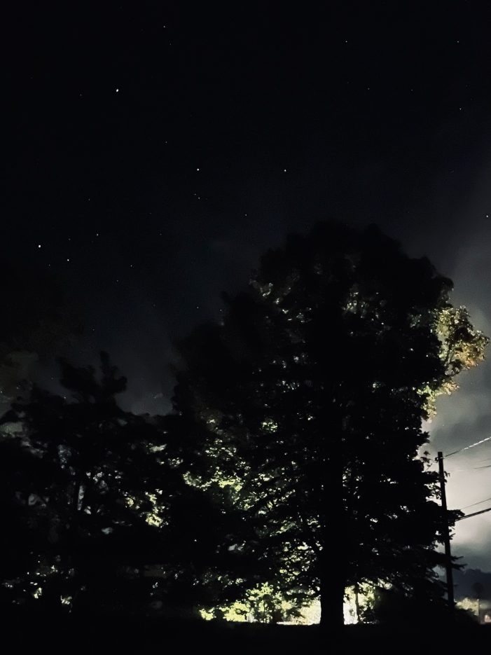 Flash of Headlights Outline Tree Underneath the Autumn Equinox