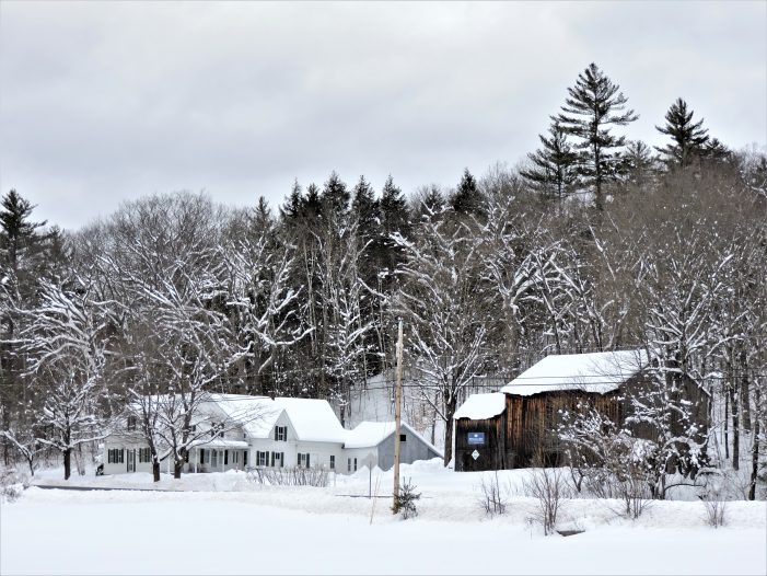 Eagle Pond Winter Crops Weren’t Always Poetry and Prose