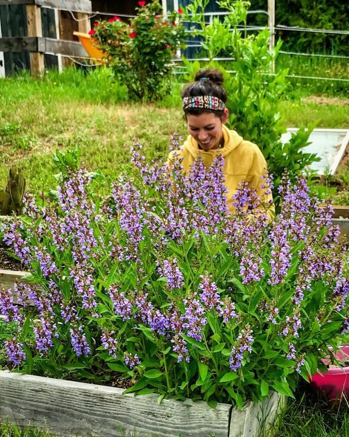 Garden Club Hosts Foodscape Program