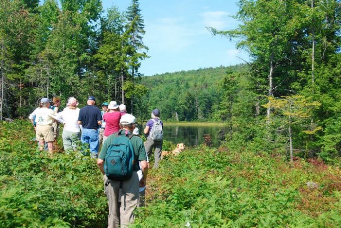 Bird Walk Set June 24 at Woods Without Gile